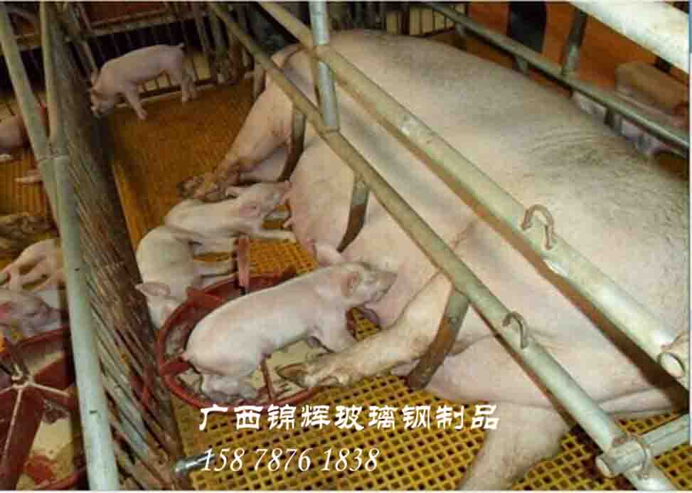 玻璃鋼格柵適用于養(yǎng)殖業(yè)