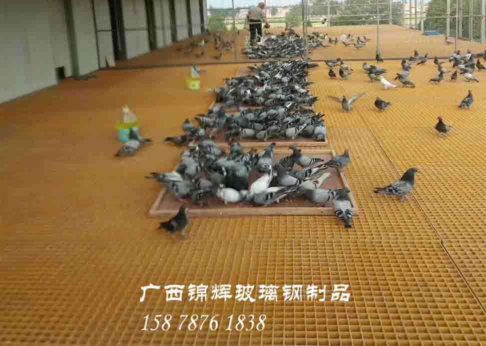 玻璃鋼格柵適用于養(yǎng)殖業(yè)