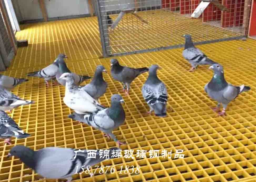 玻璃鋼格柵適用于養(yǎng)殖業(yè)